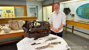 Fossil researchers believe dog-sized raptor may have fed on larger tyrannosaur