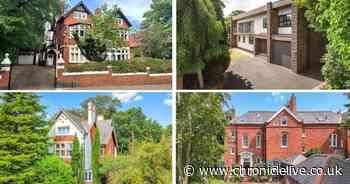 Inside four Jesmond 'mega mansions' for sale - and one has a Japanese garden