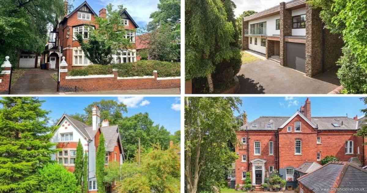 Inside four Jesmond 'mega mansions' for sale - and one has a Japanese garden