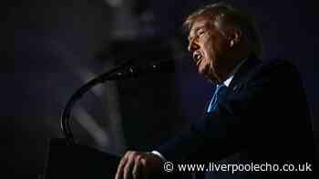 UK to 'maintain pressure on Russia' after Trump announces diesel deal with Moscow