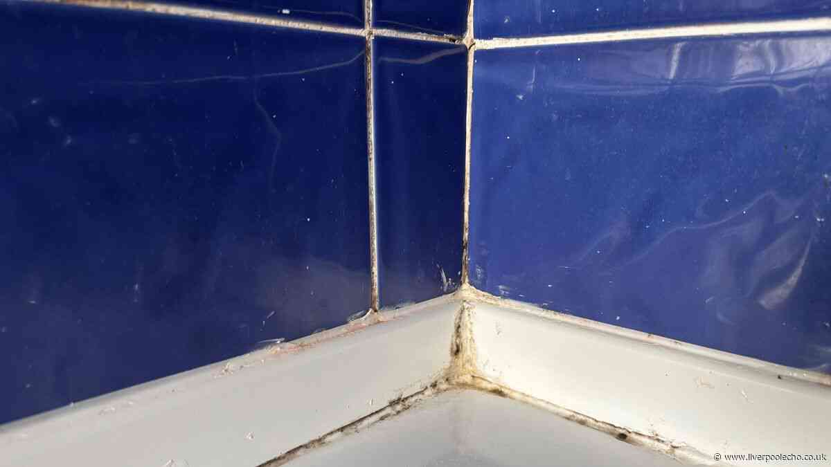 I compared HG vs Astonish mould remover around my bath – 1 worked with zero scrubbing