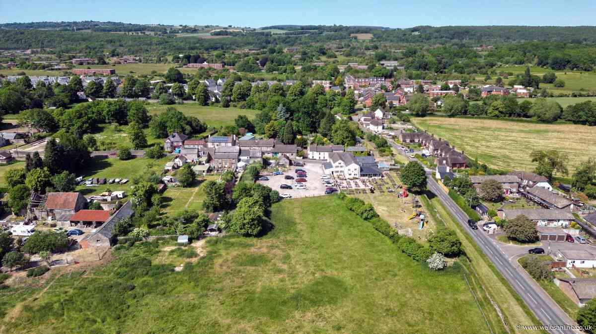 Monmouthshire village council installing bollards to prevent travellers accessing land