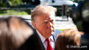 Trump asks Supreme Court to look at 2016 election lawsuit against Clinton: Report