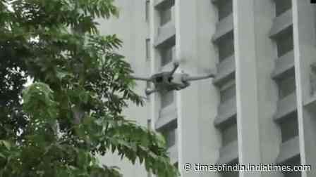 Watch: Drones take to Delhi skies ahead of CJP protest against CEC Gyanesh Kumar