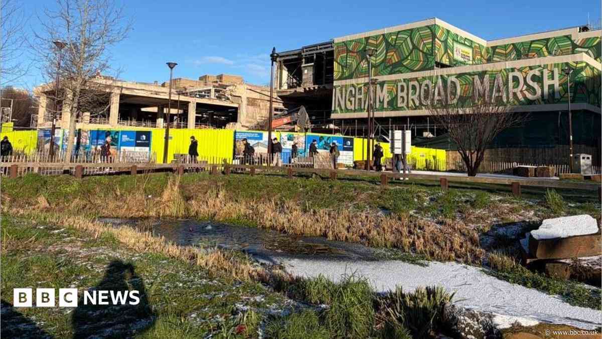 Work to city park will help wildflowers thrive