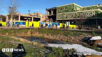 Work to city park will help wildflowers thrive