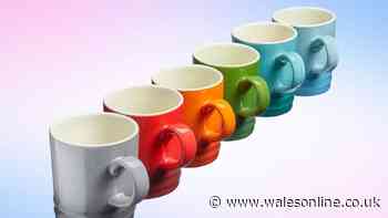 I'm a homeware expert and coffee mugs that 'rival Le Creuset' are down to £4.50
