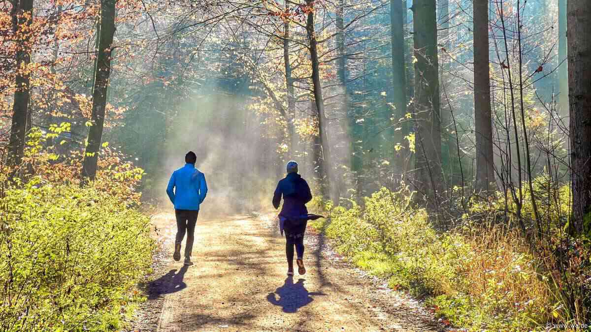 Wer im Wald läuft, schafft mehr Strecke – ohne sich stärker anzustrengen