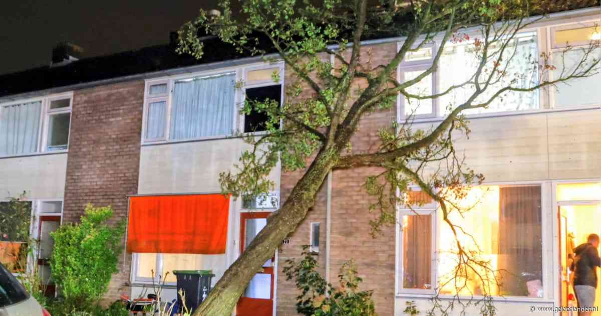 Mogelijke valwind richt flinke schade aan in Ingen: bomen tegen woningen