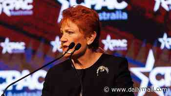 Pauline Hanson extends olive branch to 'smarmy' political rival in ambitious plan to get rid of Anthony Albanese: 'Turn the other cheek'