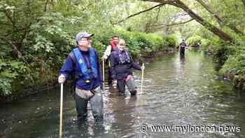 London's fight against 'hidden' river pollution as homes unknowingly flush waste into them