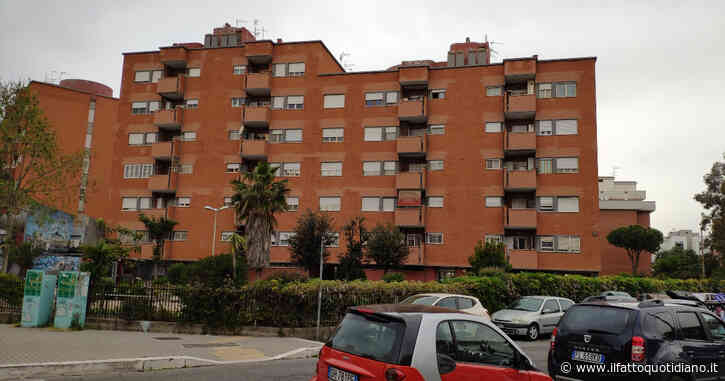 Tornano i lupi laddove le persone se ne vanno: cosa c’entra questo con gli alloggi vuoti?