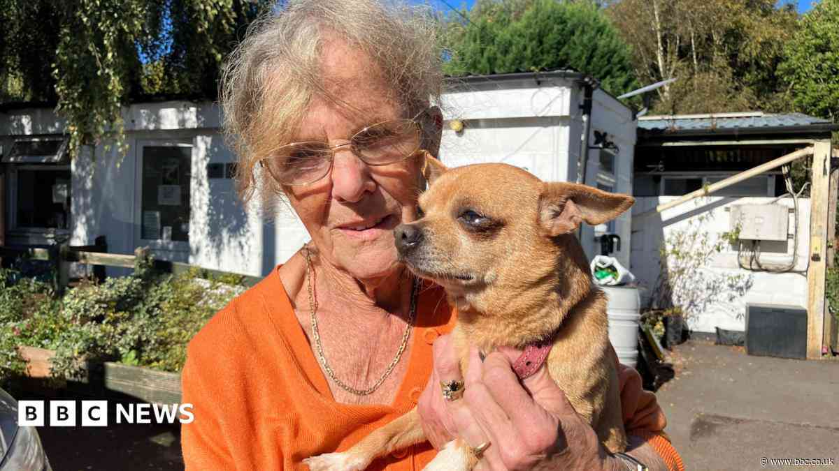 Dog rescue centre under pressure over rising vet bills