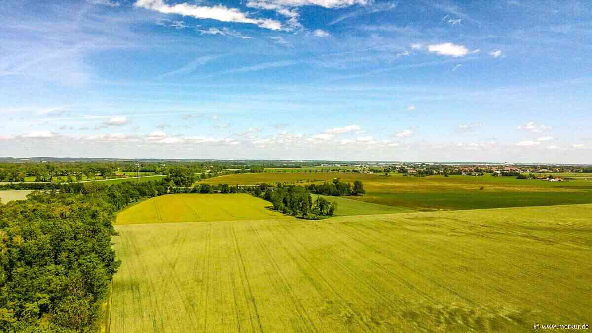 Senderwiese Hallbergmoos: Landratsamt ignoriert Beschluss zwölf Jahre lang - Helsing profitiert