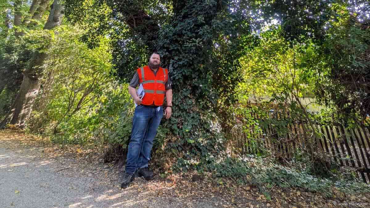 250 Jahre alt: Erdings ältester Baum steht am Herzoggraben