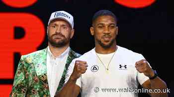 Everything we know about Tyson Fury vs Anthony Joshua card as incredible fights lined up