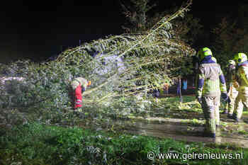 Brandweer verwijdert grote tak van weg na harde wind