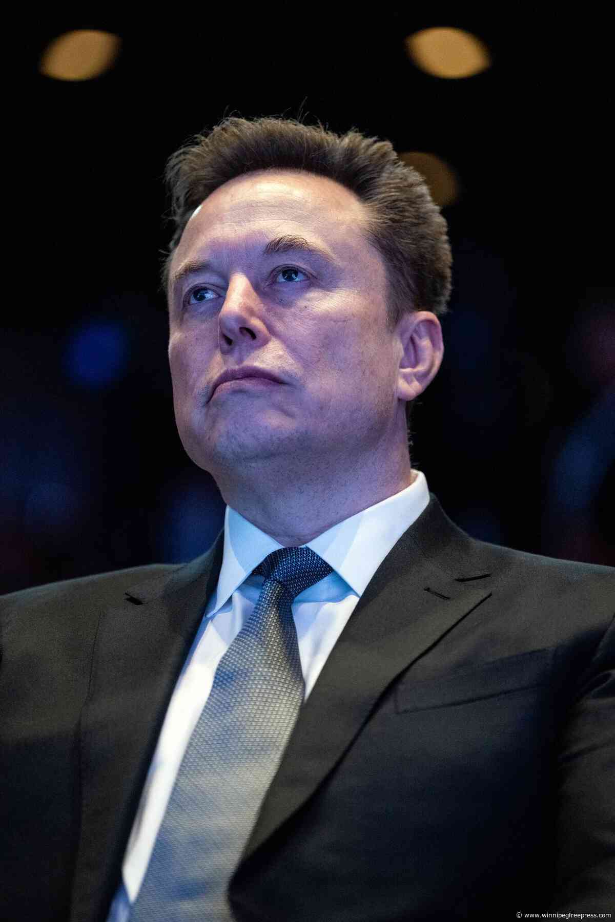 Musk’s meddlesome trolling
