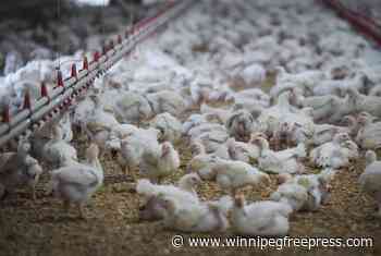 Protein crests current appetite wave