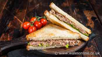Ditch mayo for better alternative that makes tuna creamier and flavourful