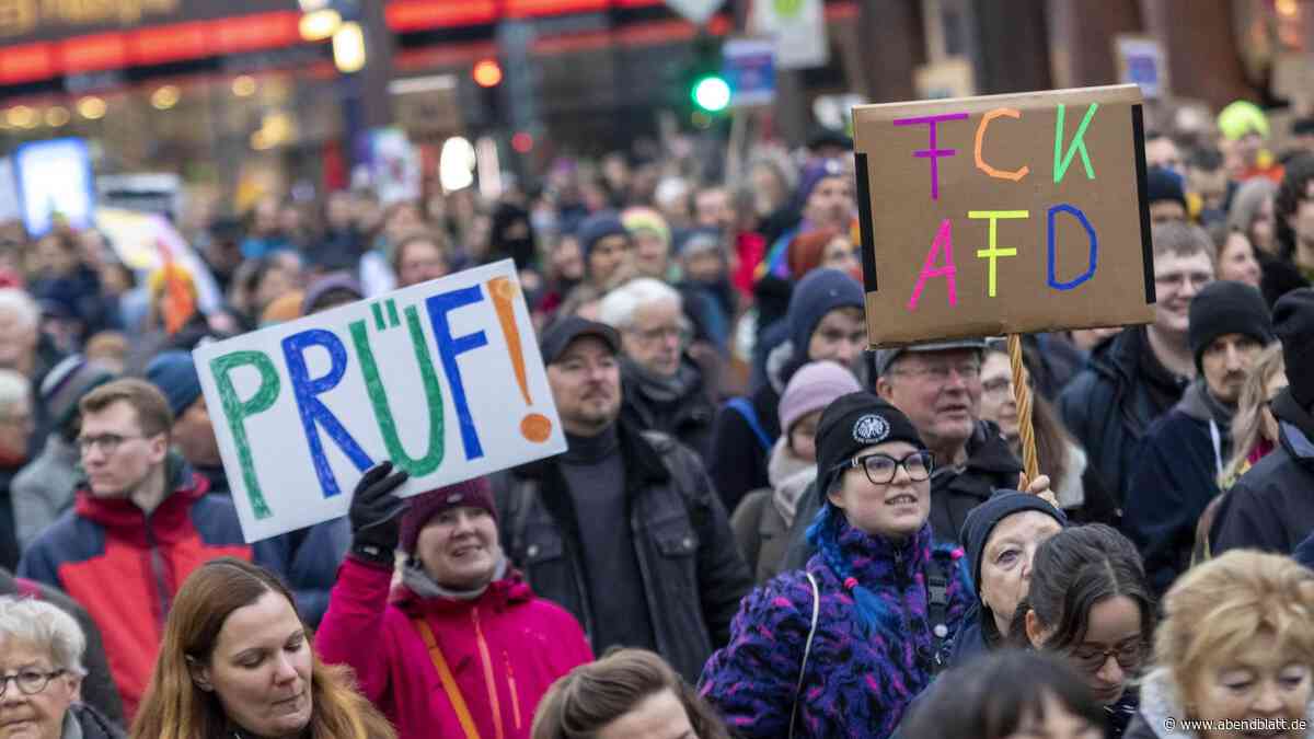 AfD-Verbot prüfen: Prominenter Gast heute bei Demo in Hamburg dabei