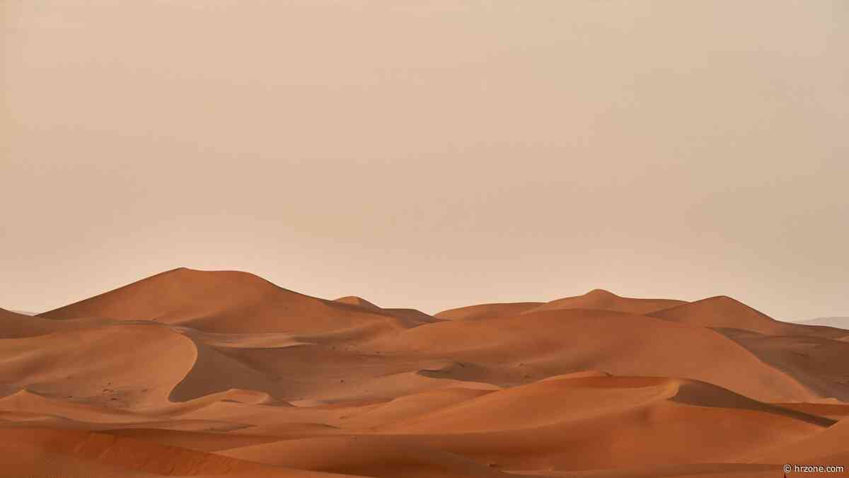What AI is making scarce and why HR should care