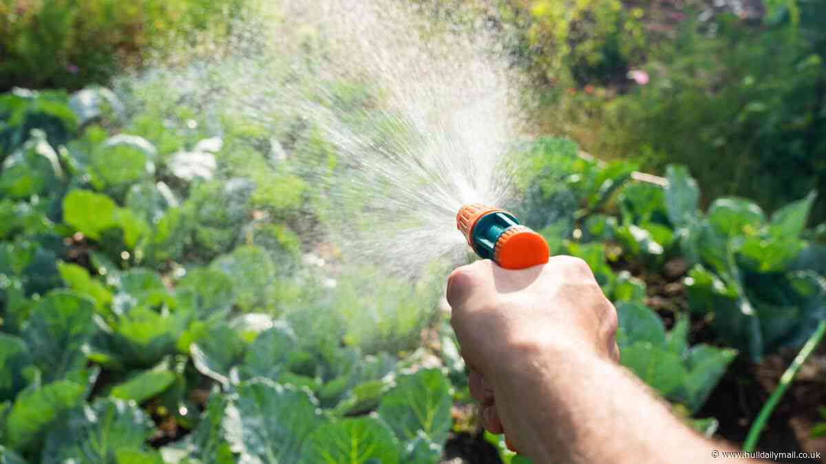 'No water restrictions expected' after drought declared in Yorkshire