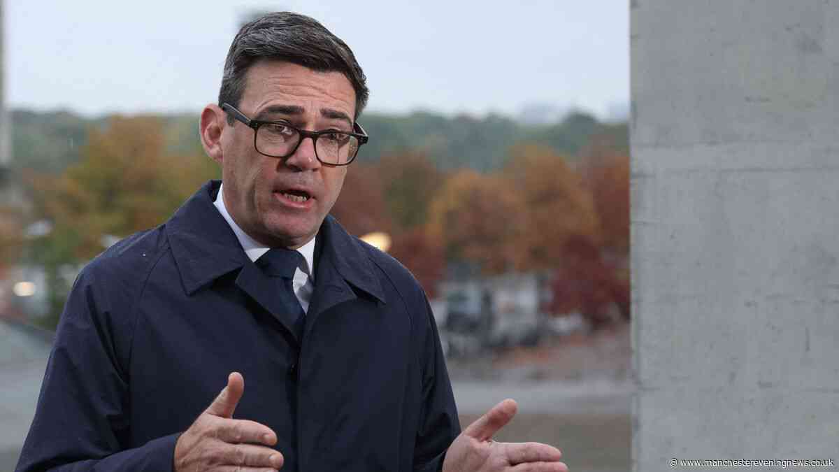 Andy Burnham government to issue statement on XL Bully dogs after thousands call for major change