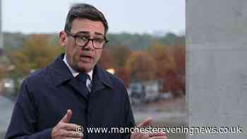 Andy Burnham government to issue statement on XL Bully dogs after thousands call for major change