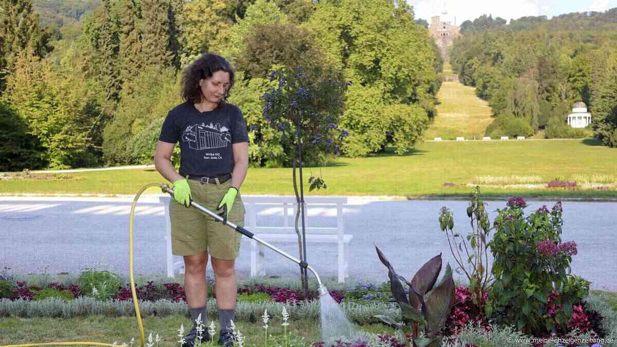 Starkregen und Trockenstress: Bergpark Wilhelmshöhe im Klimawandel