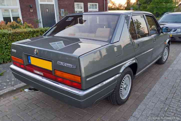Deze Alfa Romeo 90 is nóg zeldzamer dan je zou vermoeden - In het wild