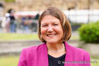 Green MP says party must guard against ‘capture by extremists and racists’