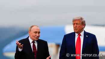 Trump's wild week as he cuts 'treasonous' diesel deal to fund Putin's war machine