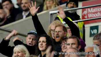 Prince Harry booed by crowd as he turns up to watch Welsh rugby stars steal show