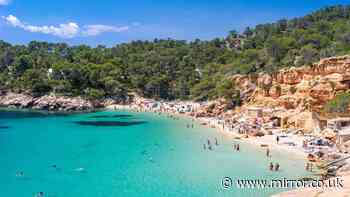 Ibiza beaches closed for tourists over deadly E coli fears and faecal bacteria