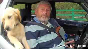 He'll be in the dog house now! Moment drink-driver's pet steals the show during police stop as his owner is caught behind the wheel more than four times over the limit