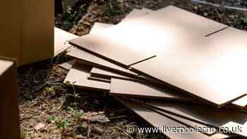 Gardeners urged to stop throwing away cardboard