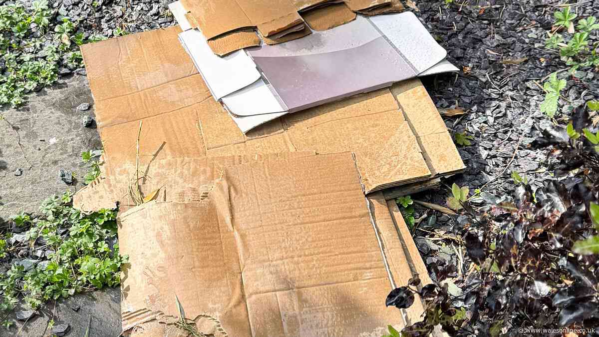 Stop weeds from growing by using 1 household item in October
