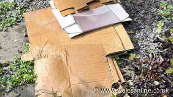 Stop weeds from growing by using 1 household item in October