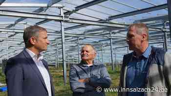 Riesige Agri-Solaranlage in Buchbach: Traktoren haben unter 26.000 PV-Modulen Platz