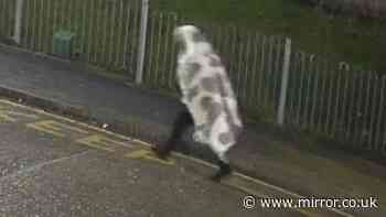 Man with 'sexual obsession' seen 'walking under blanket before killing stepdaughter'