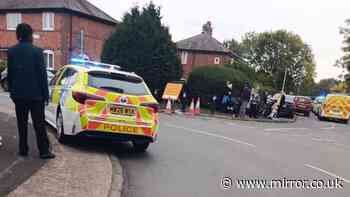 Boy, 11, injured in Manchester 'dog attack' with 'Bullmastiff-types on the loose'
