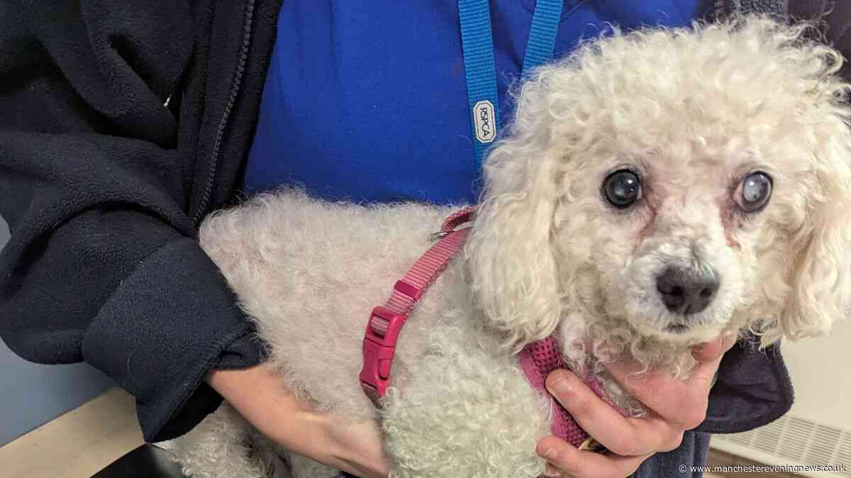 Rochdale woman taken to court as RSPCA officers visit her home after tip-off