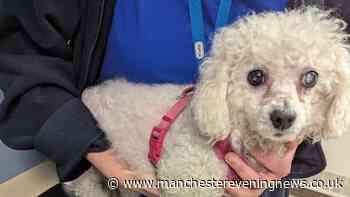 Rochdale woman taken to court as RSPCA officers visit her home after tip-off