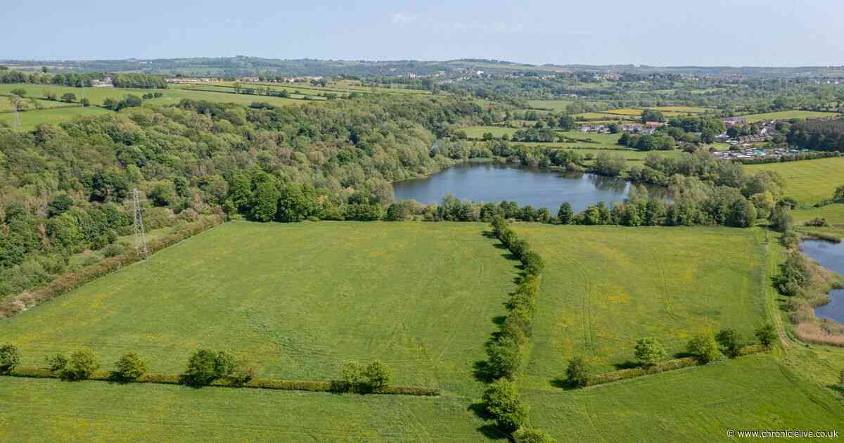North East nature reserve covering huge 66 acre area up for sale at £700,000