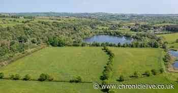 North East nature reserve covering huge 66 acre area up for sale at £700,000