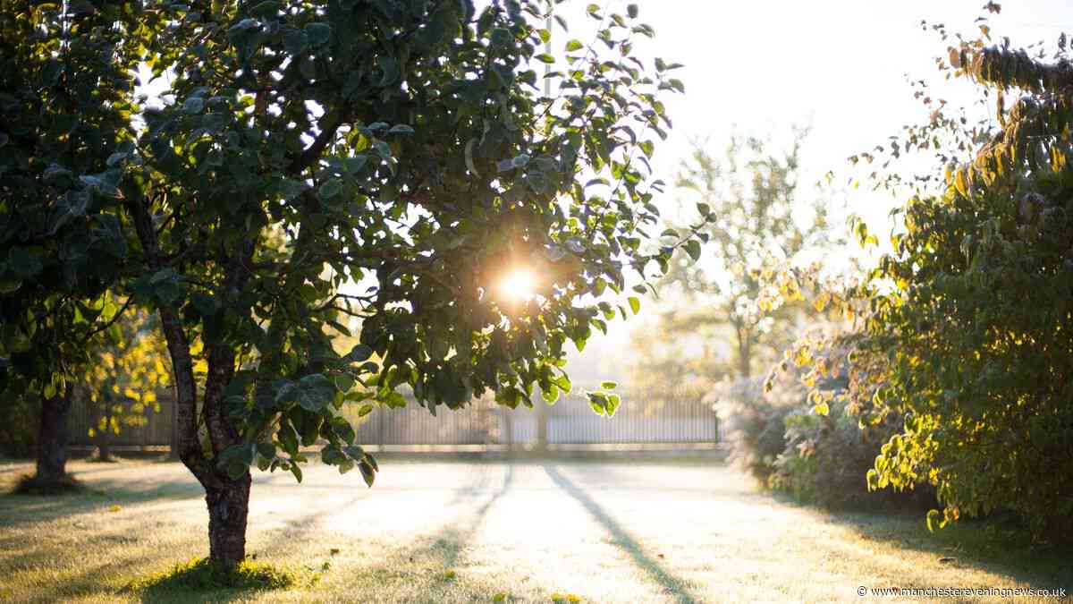 Exact date Greater Manchester to plunge to 6C as Met Office warns of UK 'frost'