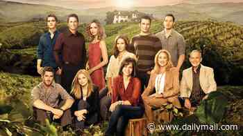 What happened to the cast of Brothers & Sisters? From Hollywood marriages to Broadway debuts and a surprise career change - the varied fates of the stars as family drama turns 20