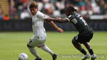 Swansea City v Norwich City LIVE: Score updates visitors take the lead
