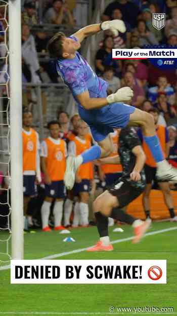 BIG SAVE FROM BRIAN SCWAKE TO KEEP THE CLEAN SHEET!